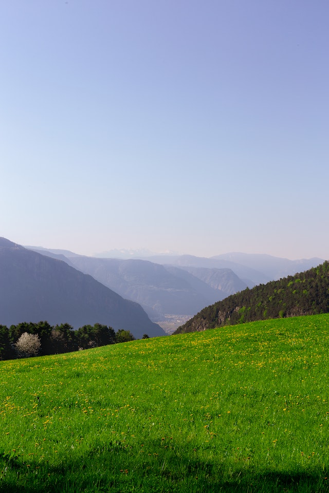 gras
